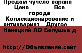 Продам чучело варана › Цена ­ 15 000 - Все города Коллекционирование и антиквариат » Другое   . Ненецкий АО,Белушье д.